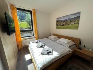 Apartmán 1000 m n. m. - Stachy - 4