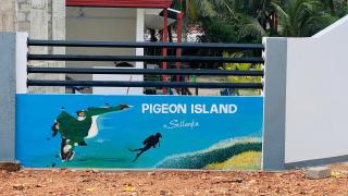 Coconut Leaf Shadow Guest - 5