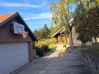 Ramonda house - Brestovik - 8