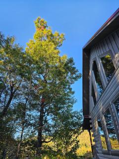 Cardinal Treehouse - Bryson City - 6