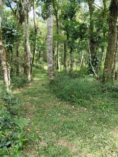 Quarto Coralina - Bio Cult - Campo Alegre - 3