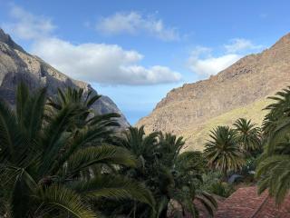 appartement avec vue sur la mer - Puerto de la Cruz - 1