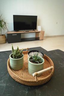 Central City Apartment - Volos - 4