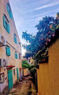 Lassini - Mali Lošinj - 7