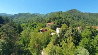 Naturalmente - Premilcuore - 2