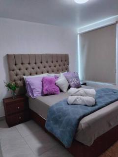 Estadio GNP, Foro Sol, Autódromo Ciudad de México - 9