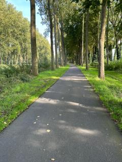 De Bijenkorf - 0