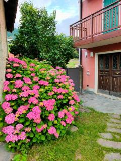 BEBERHOF - Pergine Valsugana - 9