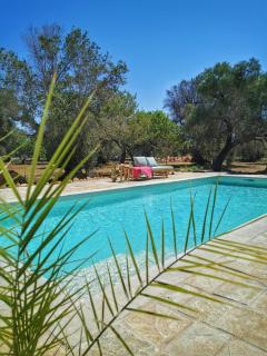 Trulli Chirulli - Ceglie Messapica - 8