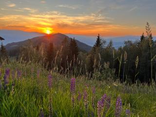 Feriendorf Koralpe Alpenrose - Frantschach - 5
