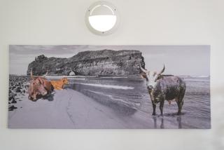 Direct Beach Access at OceanBreeze - Kingsburgh - 6