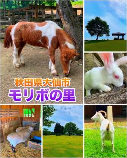 Hotel DOLPHIA-Adult Only - 3