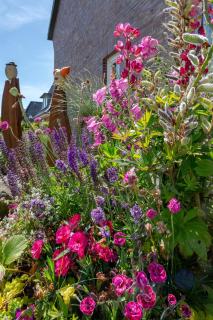 Strand Cottage - Westerland - 5
