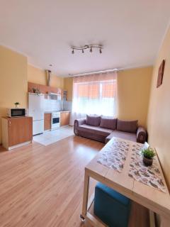 Giedres apartaments-Alkava - Kaunas - 5