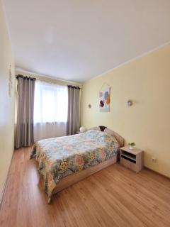Giedres apartaments-Alkava - Kaunas - 9