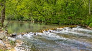 Creekwood Cabin - Blue Ridge - 7
