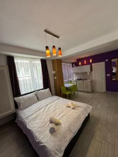 Iskra Guesthouse - 4