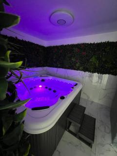 Jacuzzi sauna 5min pied gare - 1
