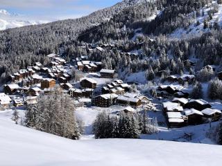 Chalet Le Becoin - CHALET MITOYEN 10/12 pers - 100m des pistes SAUNA - WIFI - PLAGNE 1800 - CTBEC MAE-6654 - 2