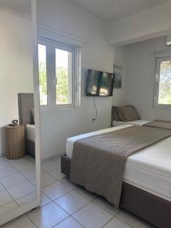 Serenity villa at Sounio, close to the beach - Sounio - 6