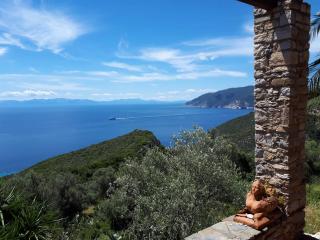 Elma's Houses - Terrace Studio Aliki - 9