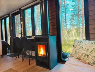 Lapland Riverside Cabin PUOLUKKA, Ylläs, Tiny Home with Sauna, Fireplace, Terrace, BBQ, Wifi, Ski, Fishing, Pets OK - Äkäslompolo - 1