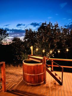 Modern House on 5 acr in Sequoia National Forest - Panorama Heights - 3
