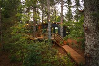 Eagles Nest - Guntersville - 8