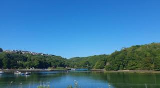 Driftwood in Looe River view and parking - 3