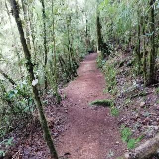 Miriam'S Quetzals lodge - San Gerardo de Dota - 5