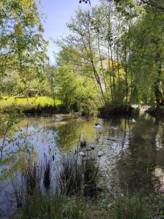 De couleurs et d'eau fraîche - Navarrenx - 8