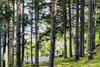 Evergreen - Northport - 3