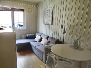 Cosy and central, by Frogner Park - Oslo - 9
