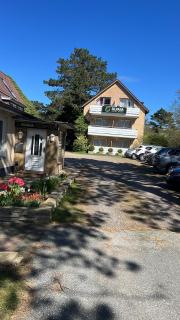 Hotel Garni Silvana - Sankt Peter-Ording - 8