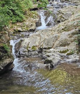 Fortune Rising Sun Hill Pension B - Pocheon - 0