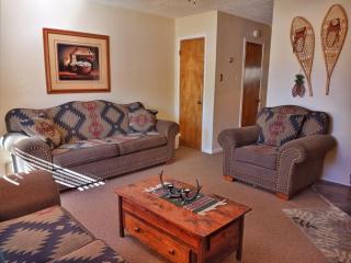Valley Condo 124 - Creekside - WiFi - Hot Tub - Fireplace - Washer - Dryer - Playground - Red River - 9