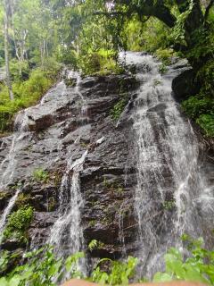 Coorg Divine spark home stay - Suntikoppa - 9