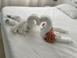 Buy & Rent With Vlad SRL - 5