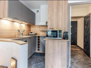 Charmant T2 rénové avec jardin, parking privé et accès direct aux pistes, proche du centre de Morzine - FR-1-679-12 - Morzine - 8