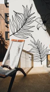 Casa Bicachi - Adults Only - Puerto Escondido - 4