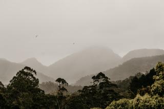 Mavis's Cabins @ Mt Warning - Uki - 7