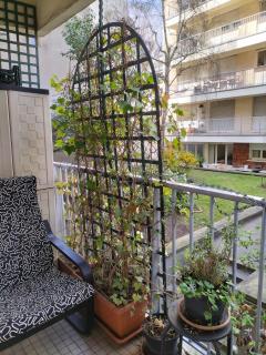 Rémy Dumoncel - París - 2