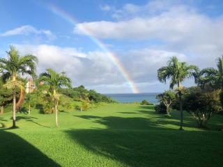 Beachfront Paradise Ishigaki - 8