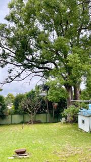 Tranquil Garden view Room Macquiare Marsfield Eastwood - Sydney - 4