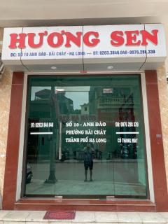 Hương Sen Hotel - Hạ Long - 5