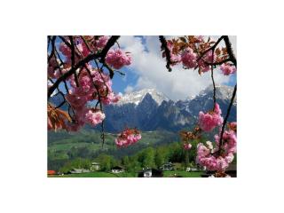 Hahn -Kierngaßhäusl- - 4