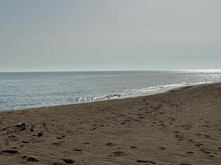 Harmony- - 7