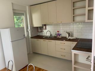 Peaceful apartment in city center Sarajevo - Sarajevo - 9