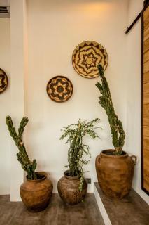 Rumah Mimosa - Canggu - 1