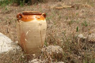 Dimora Rem Country Life a 2 minuti dal mare - Nardò - 5